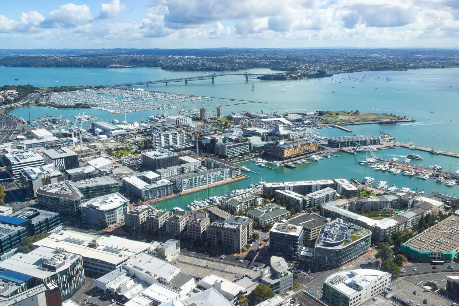 Auckland Sky Tower View