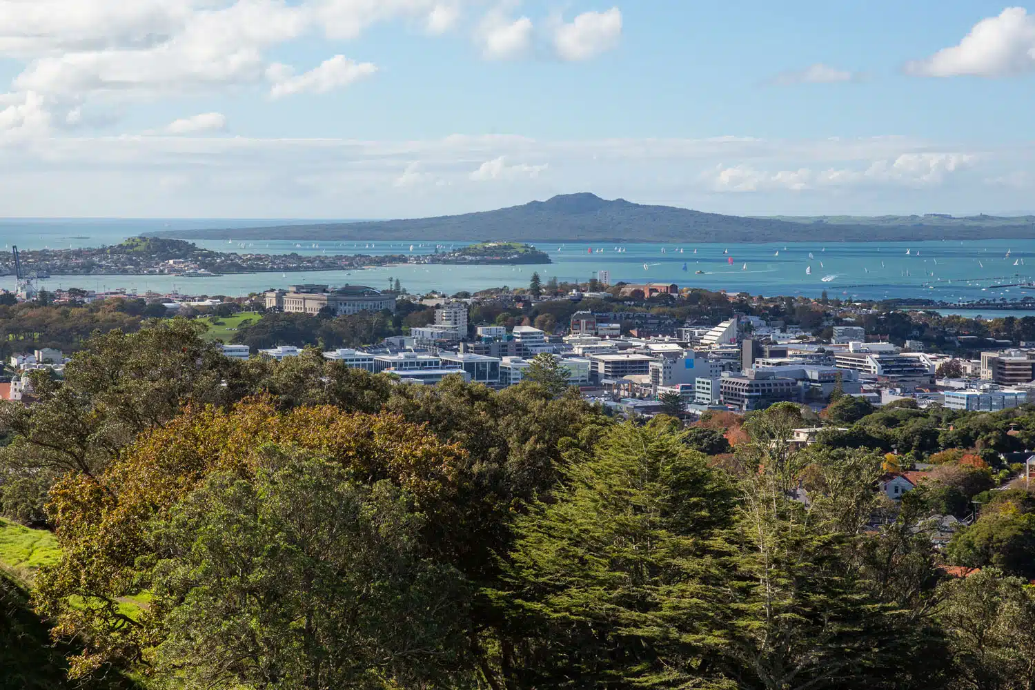 Rangitoto Island