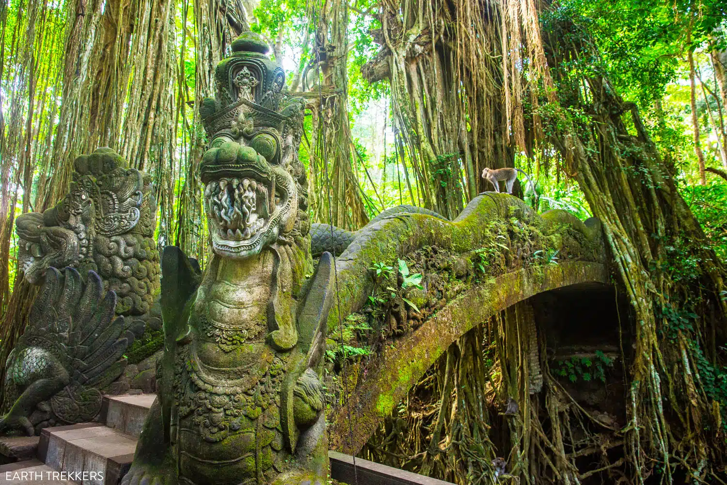 Sacred Monkey Forest Sanctuary