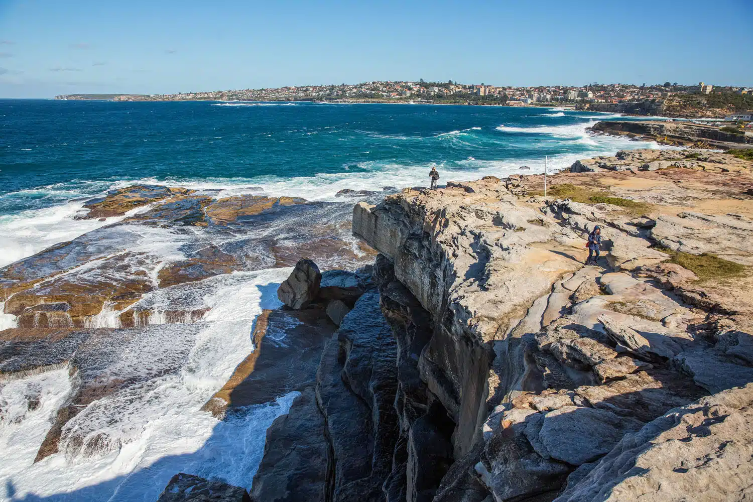 Clovelly Point Cliffs | Coogee to Bondi Coastal Walk