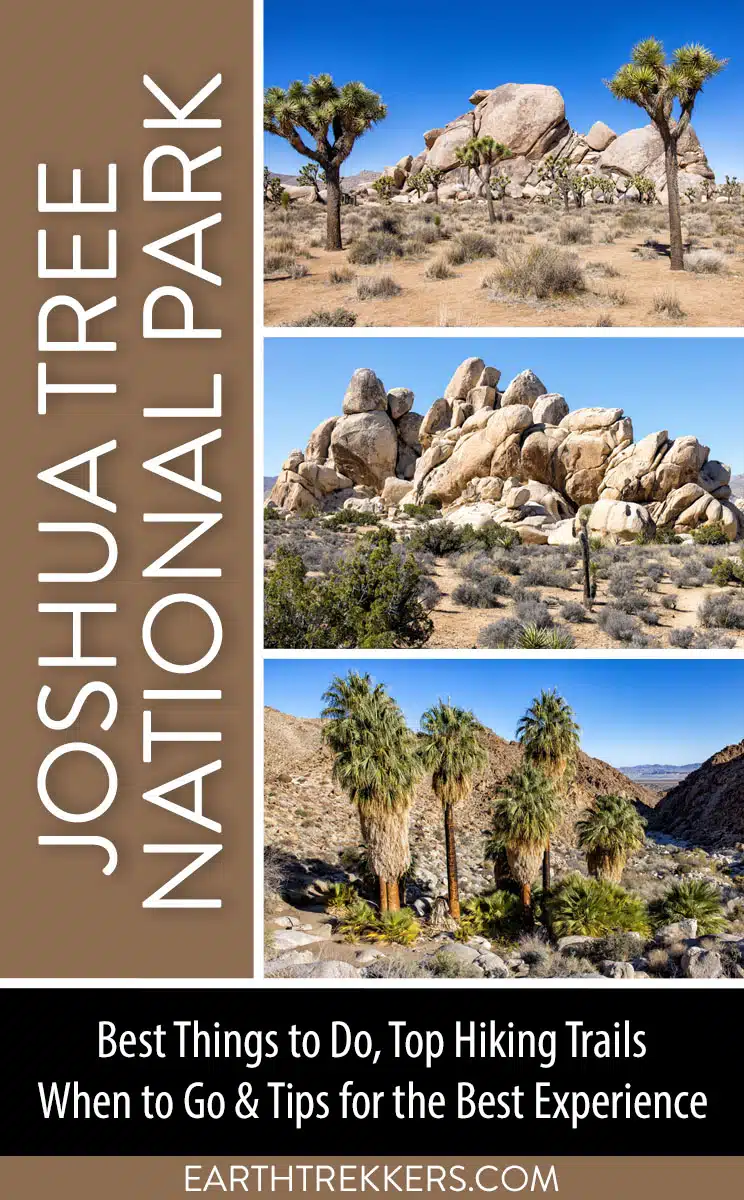 Joshua Tree National Park Travel Guide