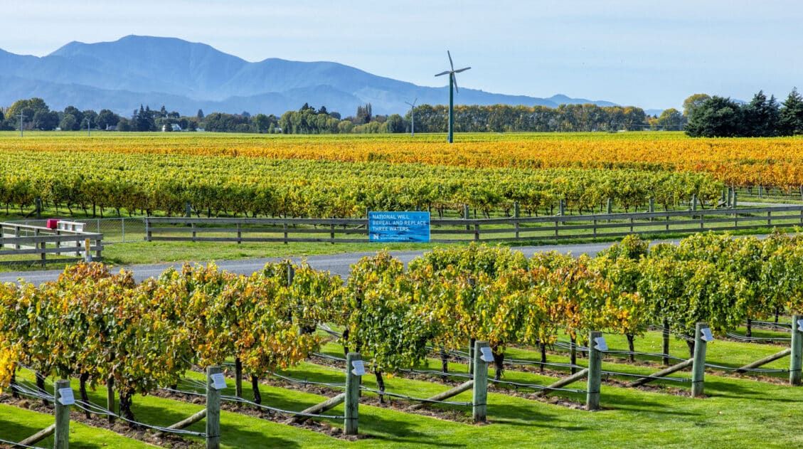 Marlborough Wine Tasting