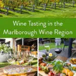 Wine Tasting Marlborough New Zealand