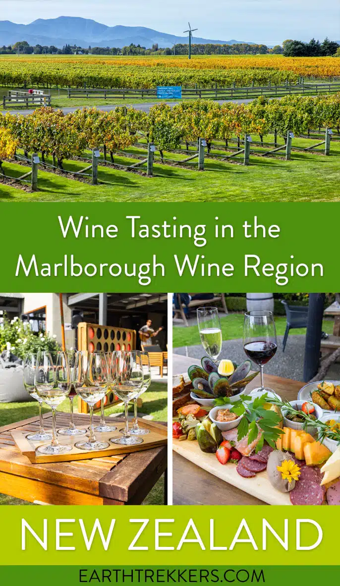 Wine Tasting Marlborough New Zealand