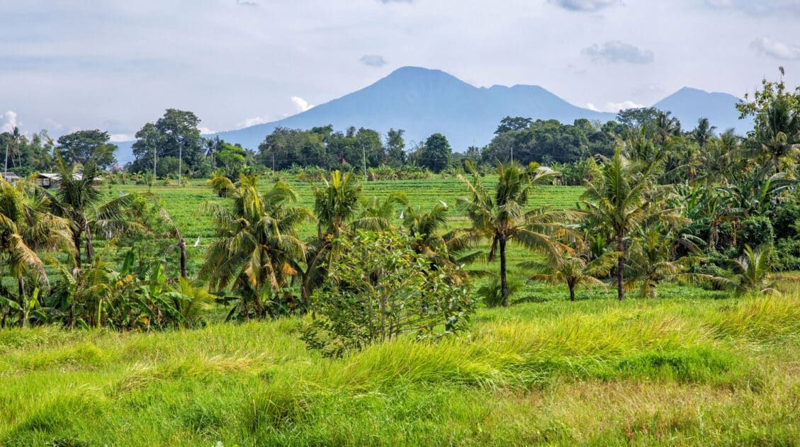 Bali Indonesia