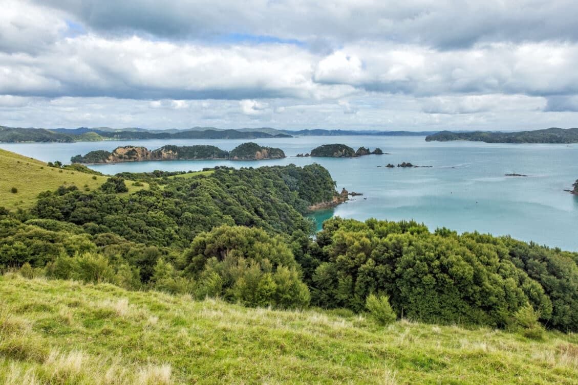 Best Things to Do in Paihia, New Zealand: Gateway to the Bay of Islands ...