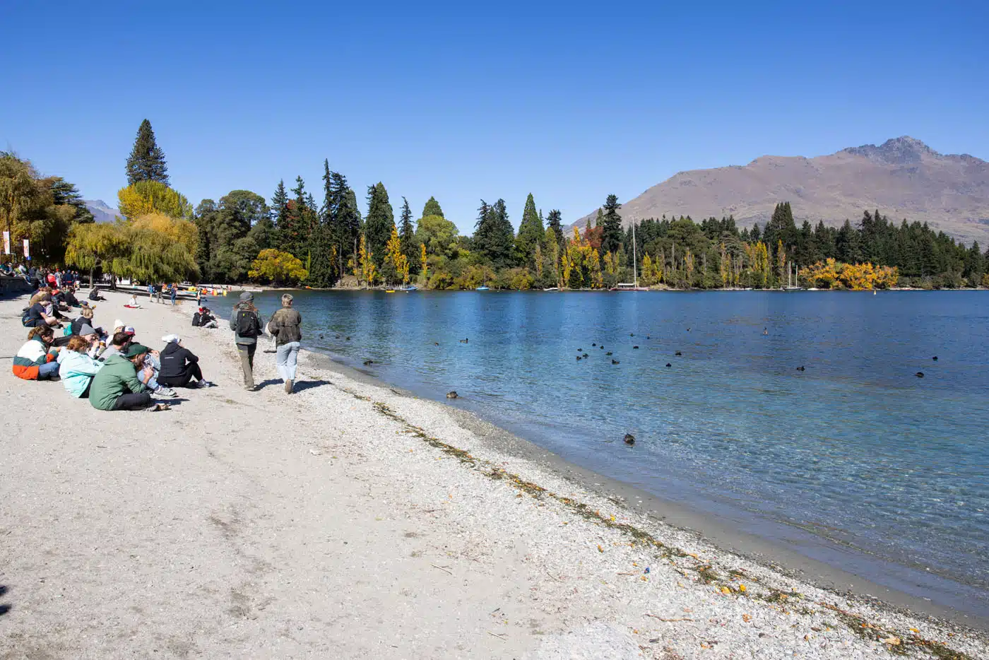 Queenstown Beach