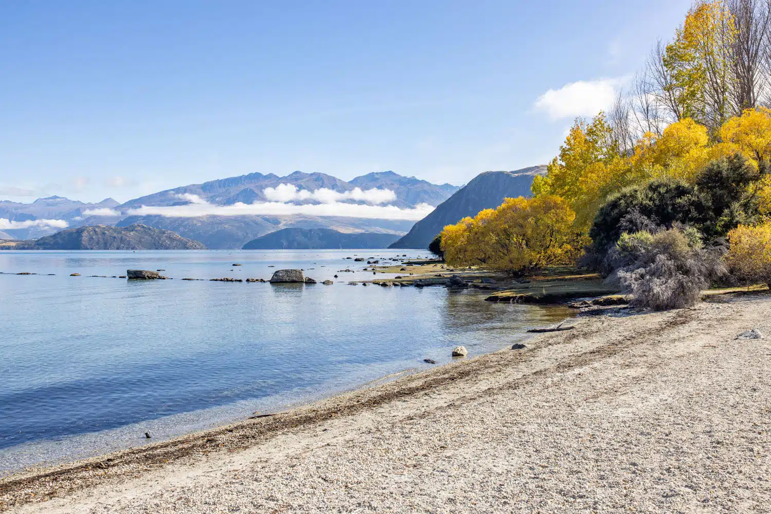 Beacon Point Wanaka | Things to Do in Wanaka