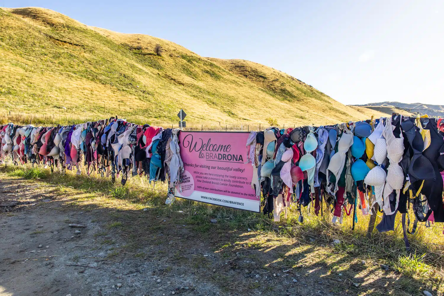 Cardrona Bra Fence