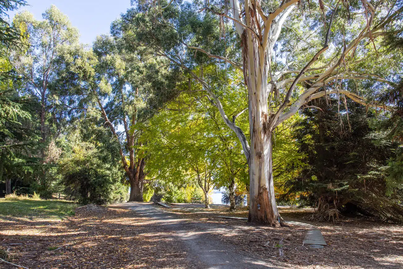 Eely Point Access Trail