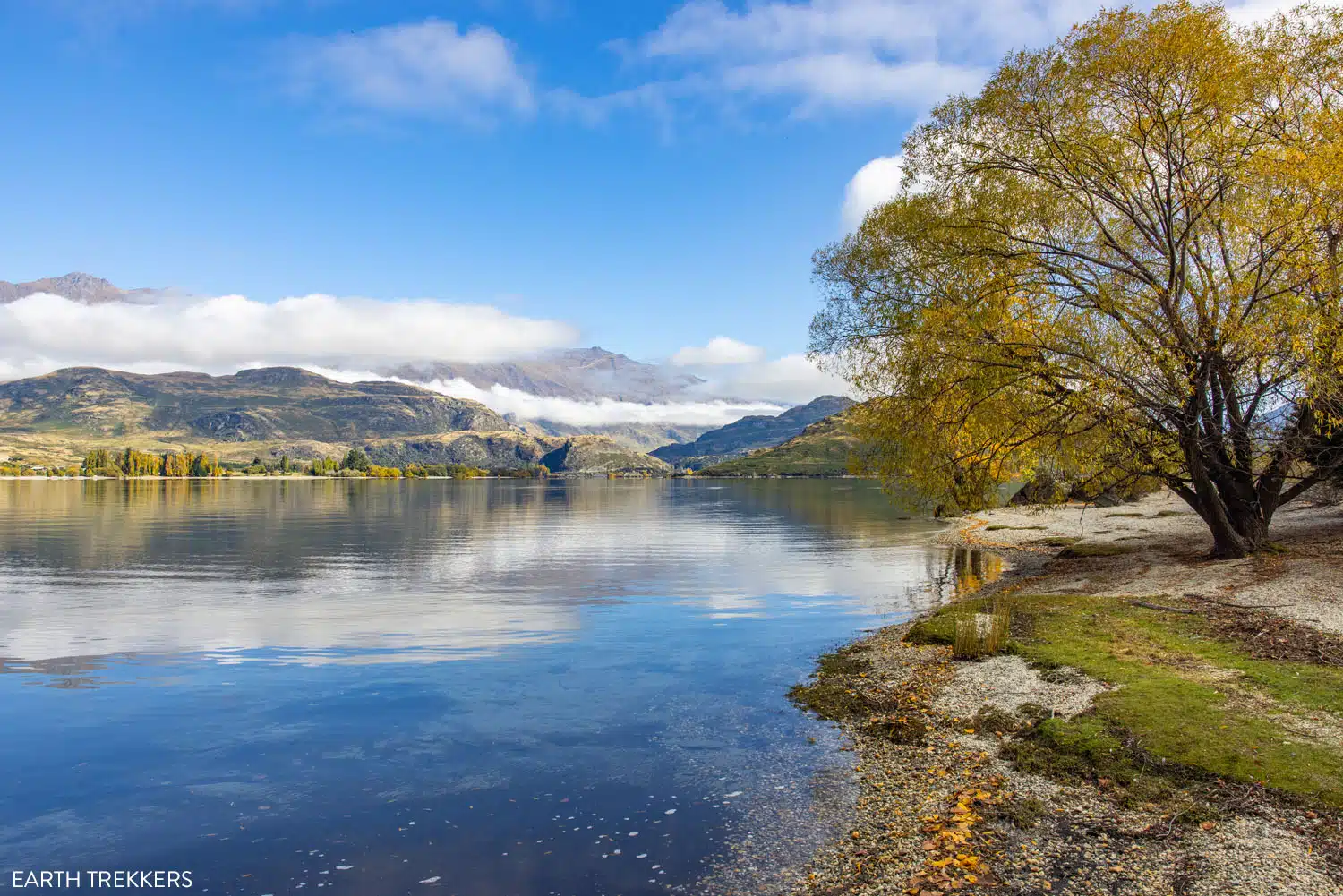 Glendhu Bay | Things to Do in Wanaka