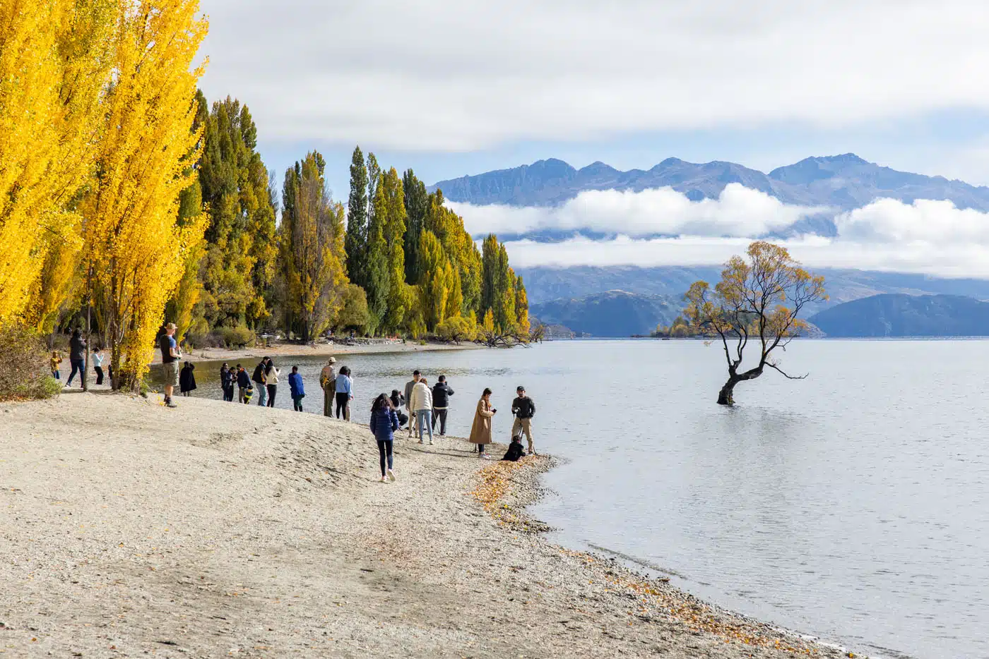 Photographing ThatWanakaTree | Things to Do in Wanaka