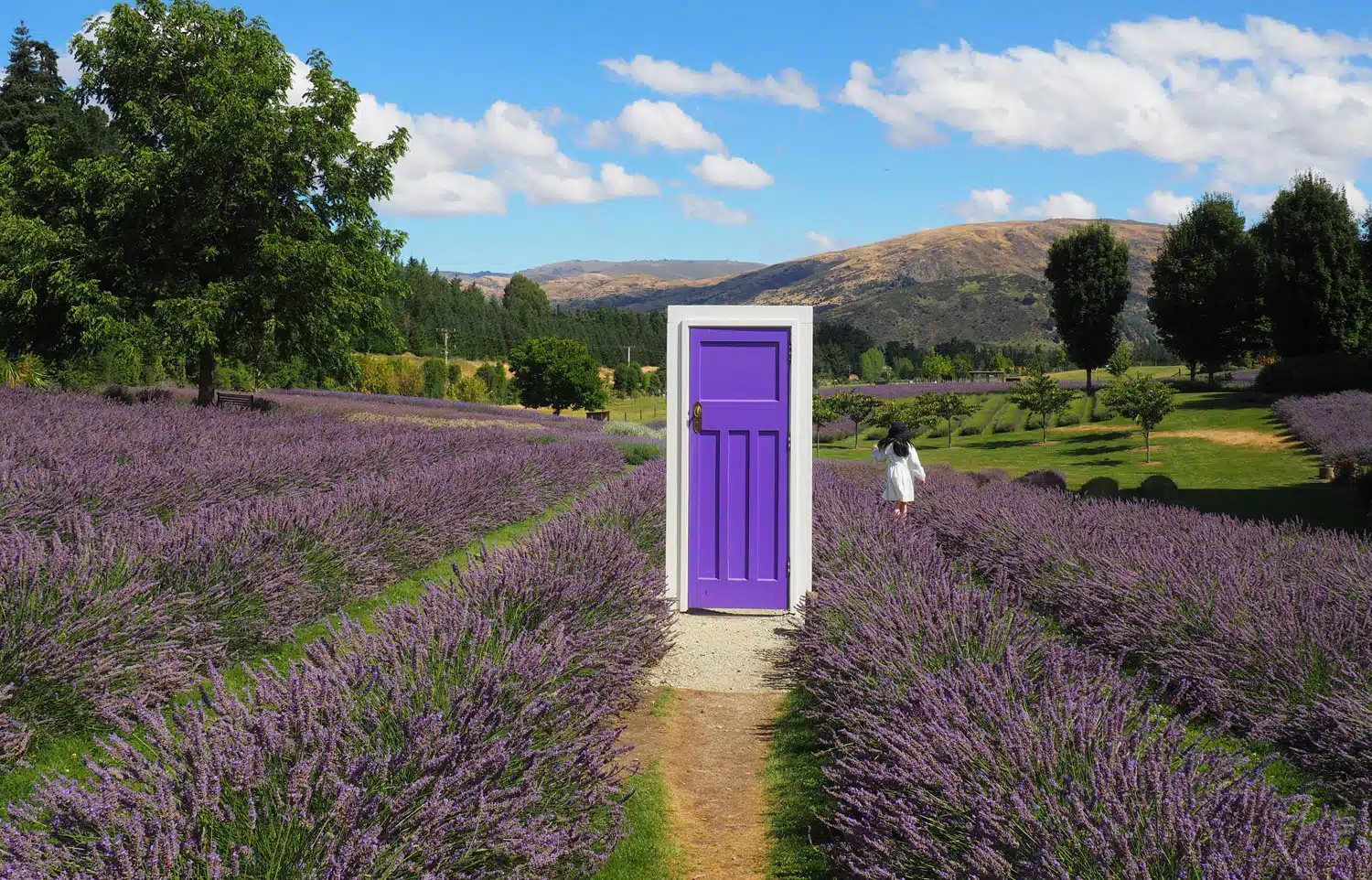 Wanaka Lavender Farm