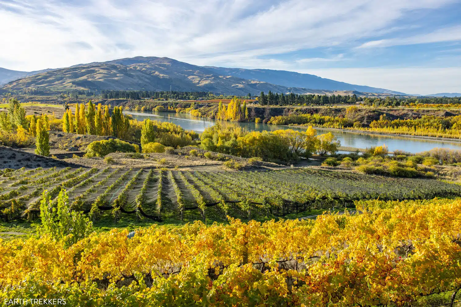 Central Otago Wine Region Te Kano | Best Things to Do on the South Island