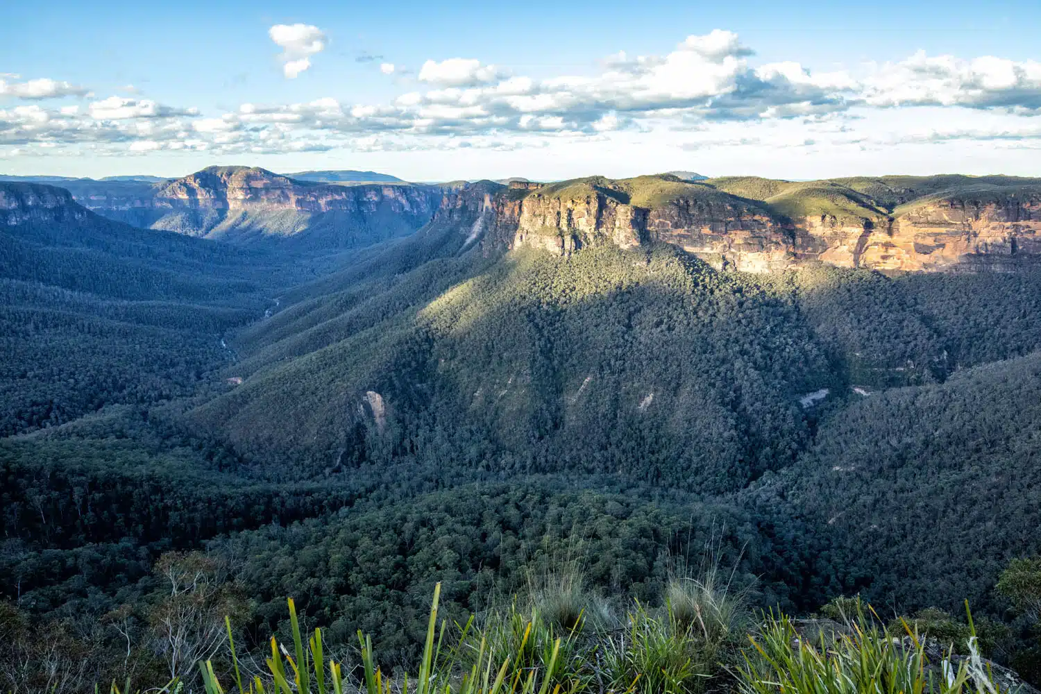 Evans Lookout