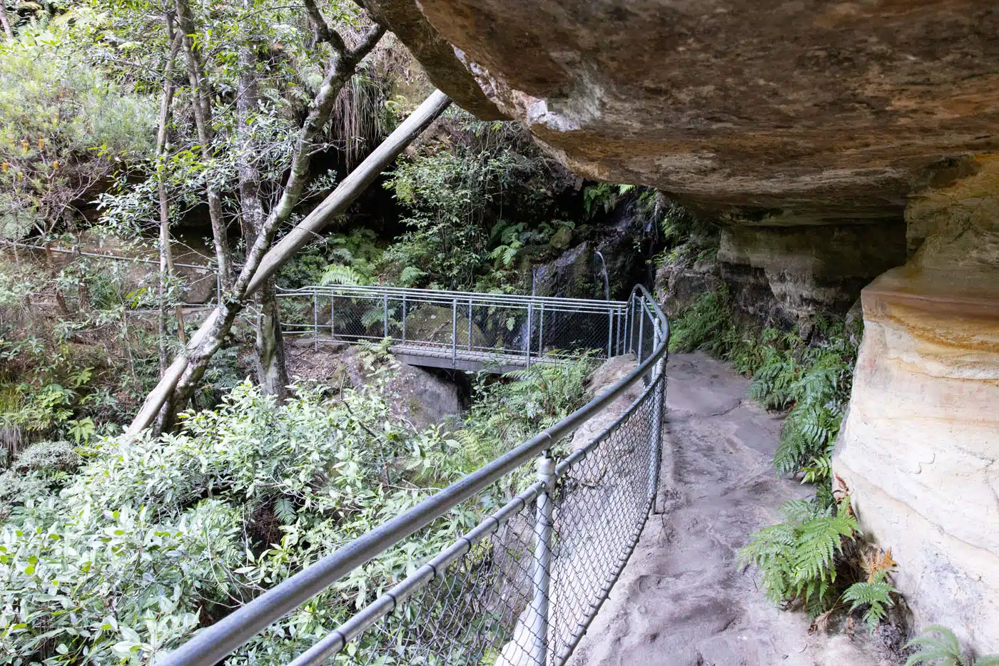 Grand Canyon Track