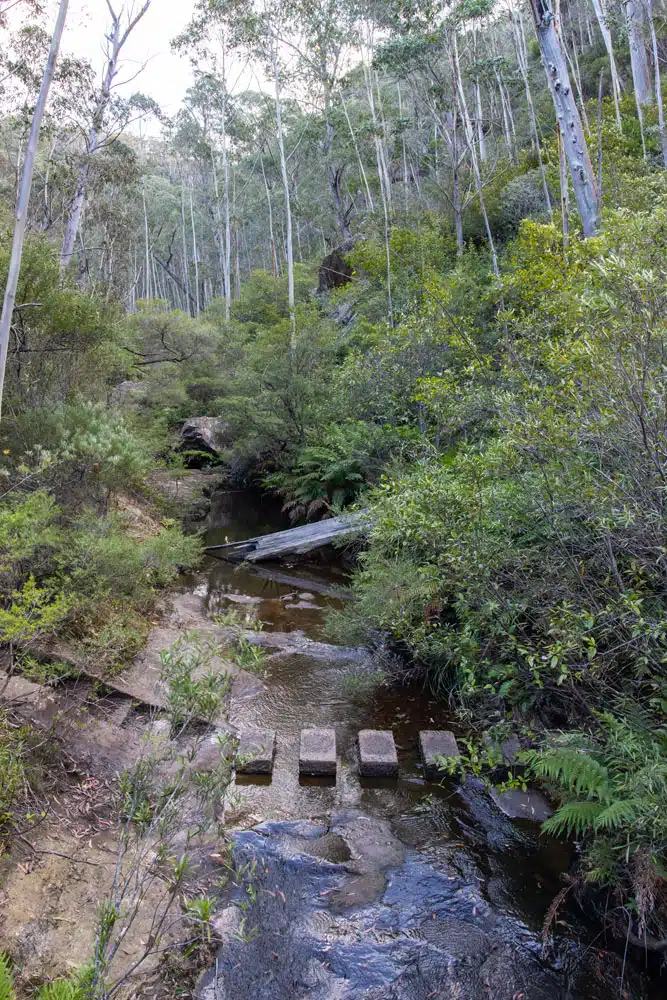 Grand Canyon Track