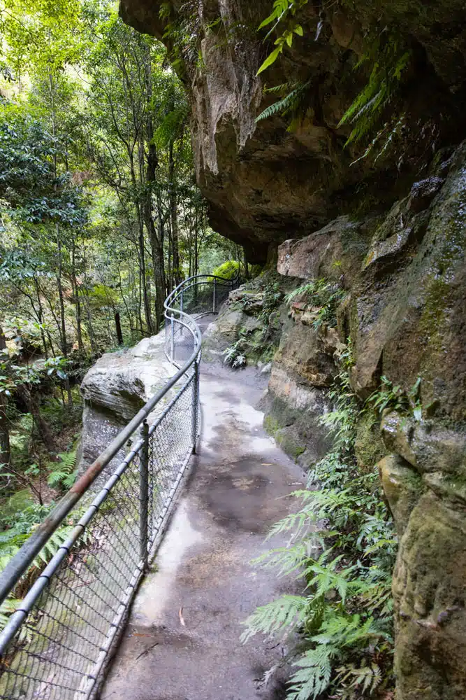 Grand Canyon Track