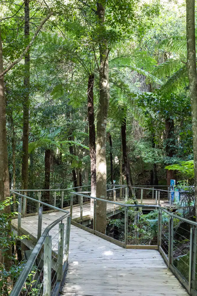 Scenic World Walkway