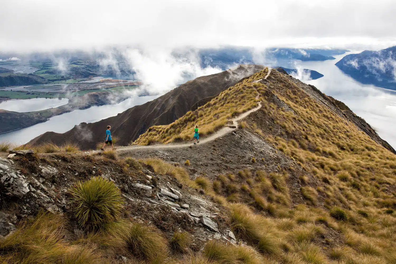 Roys Peak Hike