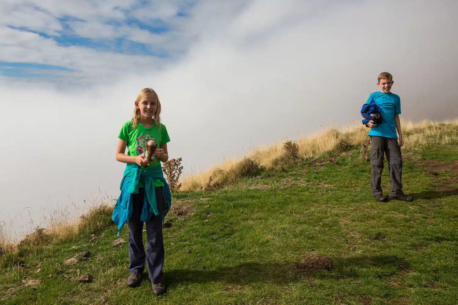 Roys Peak Track Hike with Kids