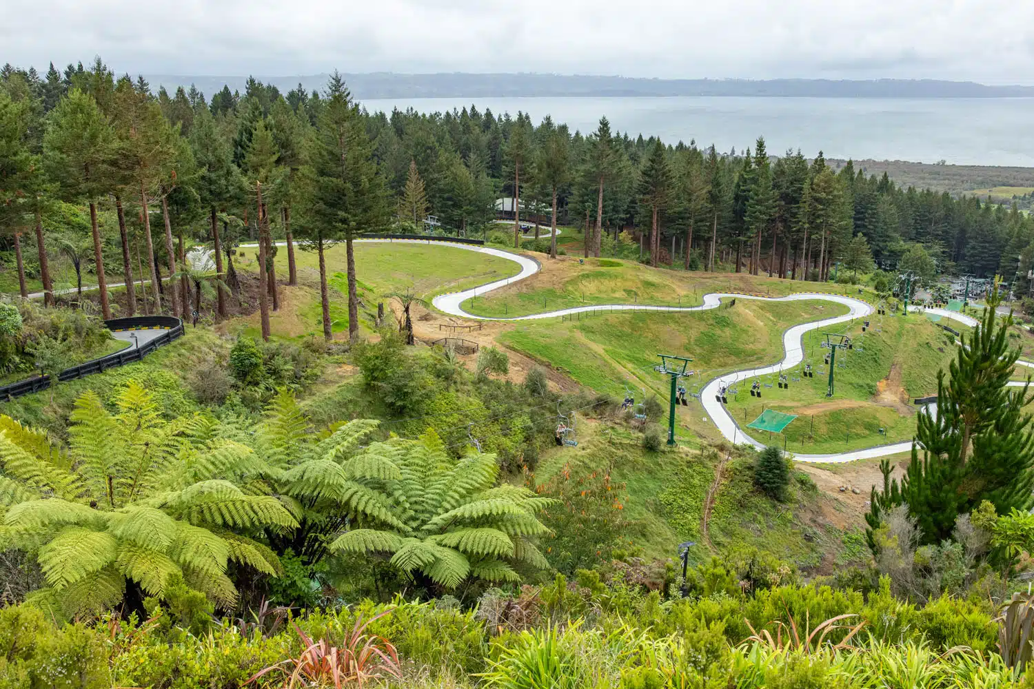 Skyline Luge Rotorua