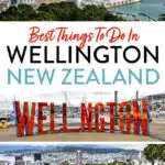 Wellington New Zealand Things to Do