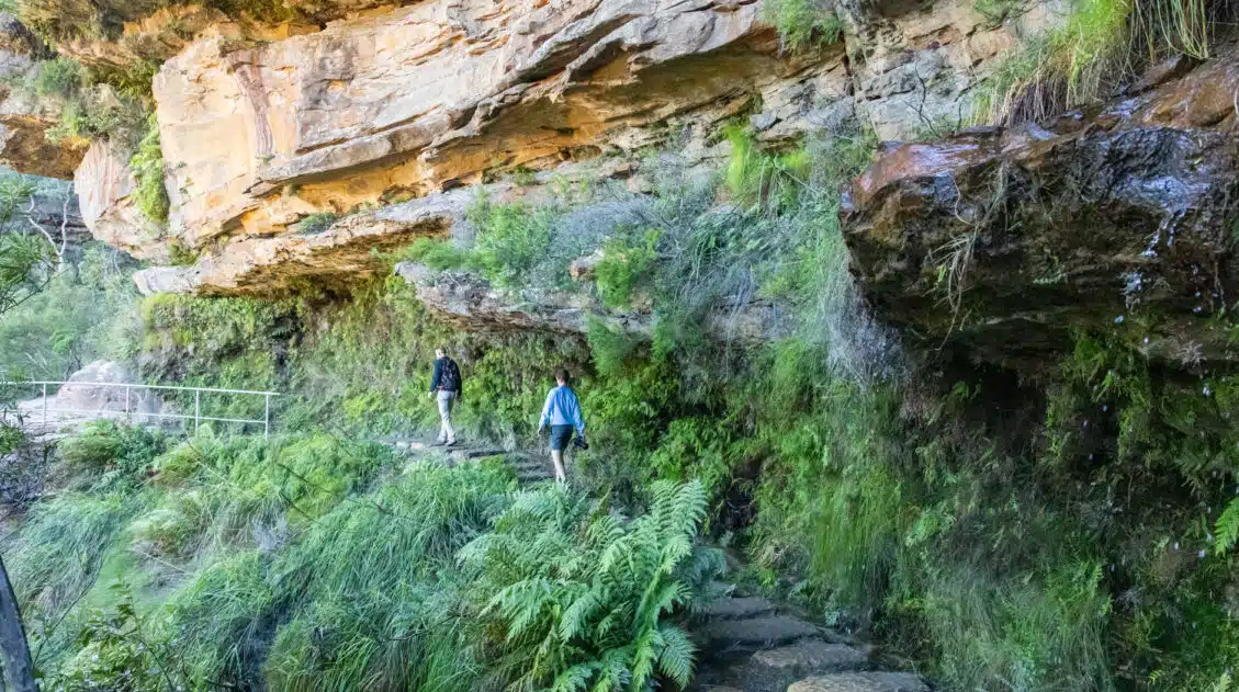 Wentworth Falls Loop