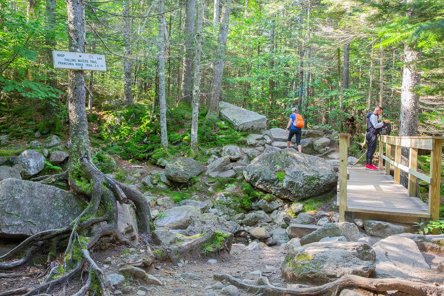 Franconia Ridge Loop