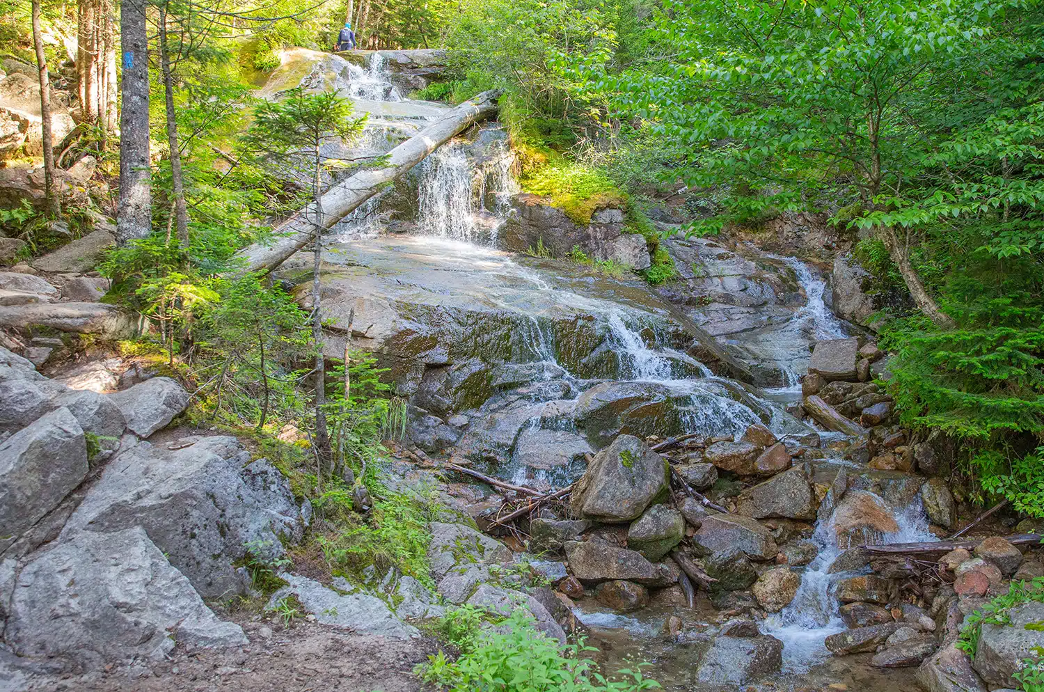 Franconia Ridge Loop