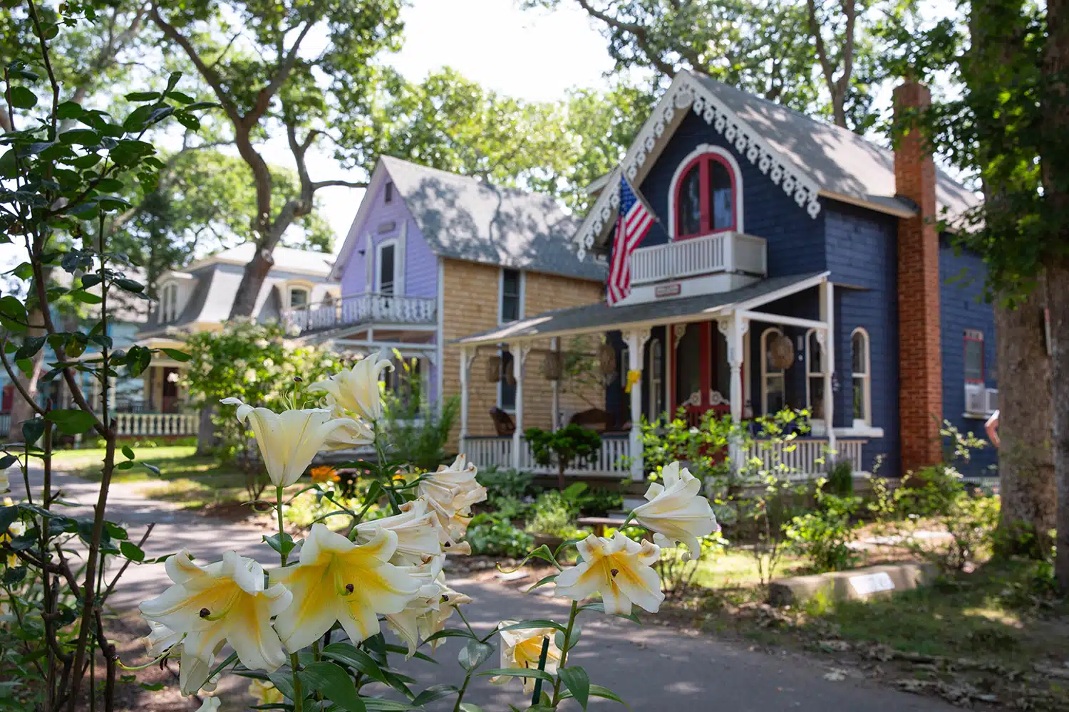 Martha's Vineyard Camp Meeting Association in Oak Bluffs