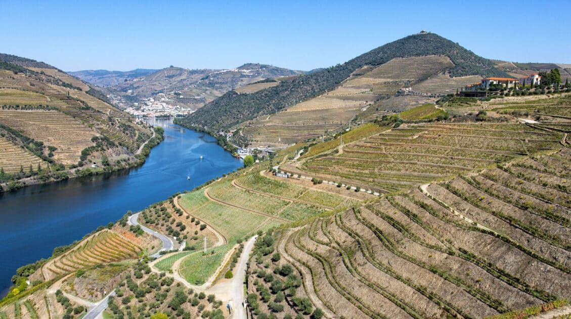 Best Douro Valley Wineries to Visit