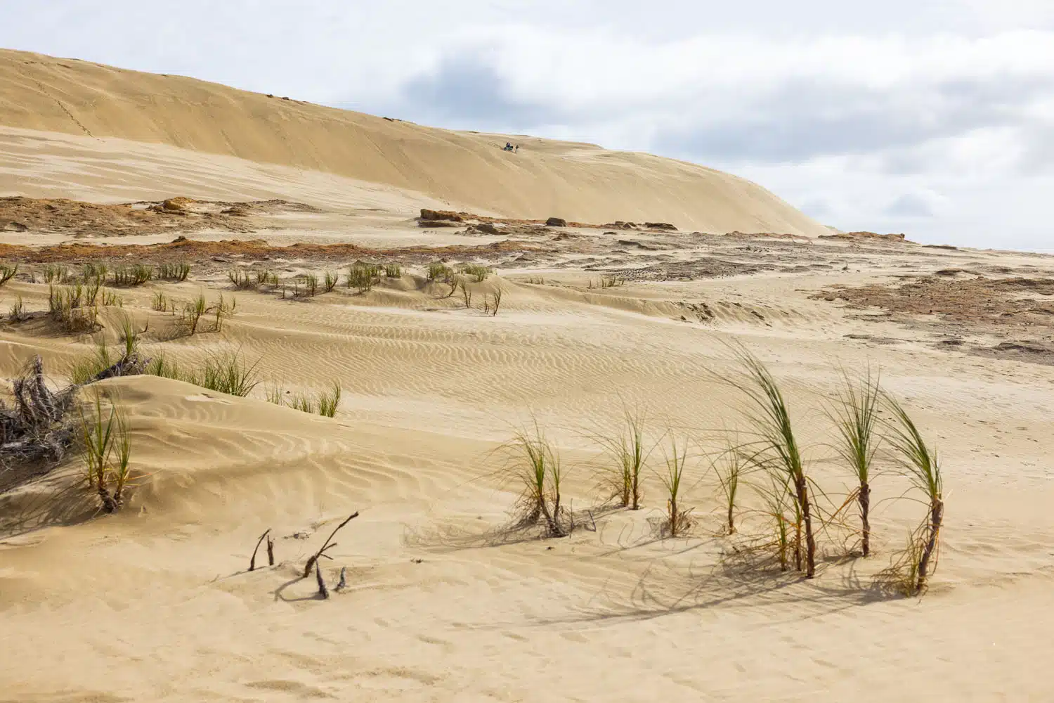 Te Paki Dunes