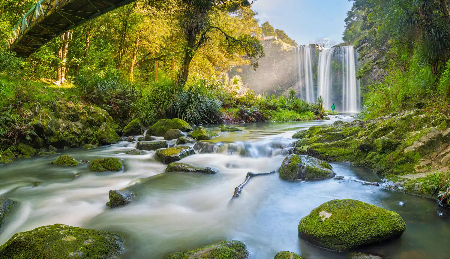 Whangarei Falls