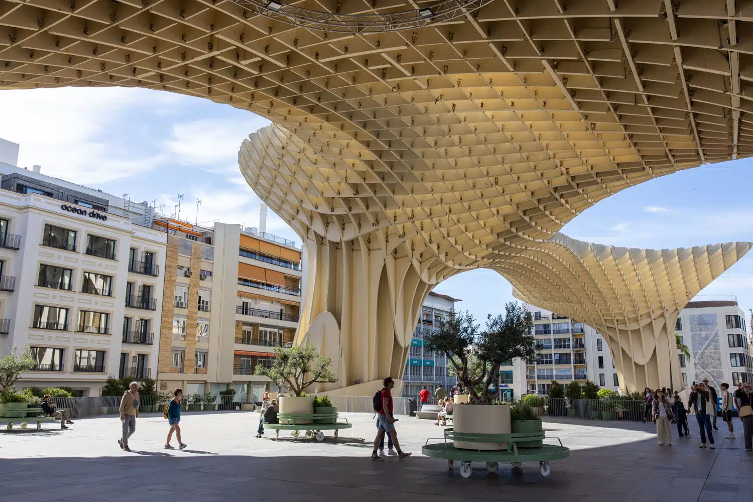 Setas de Sevilla