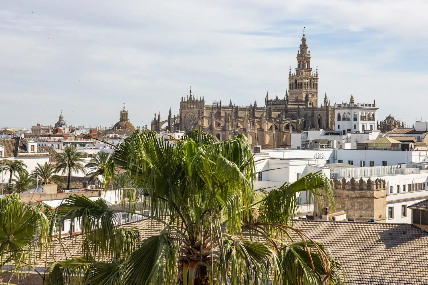 Torre del Oro View