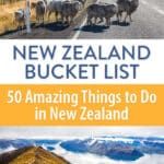 Things to Do in New Zealand