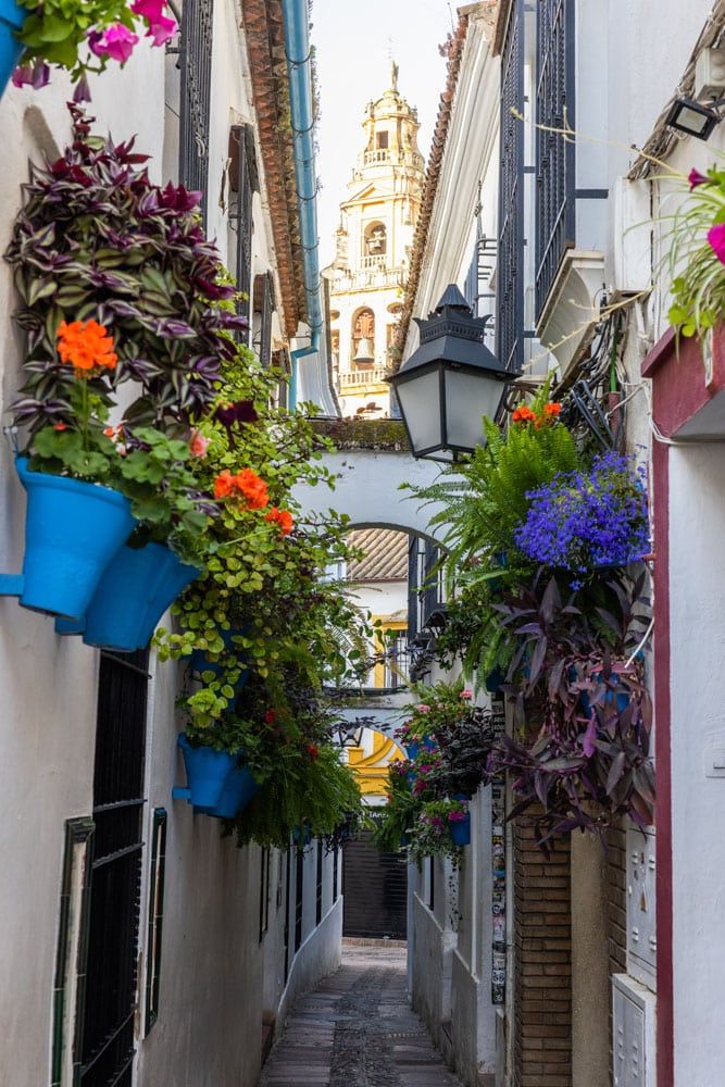 Calleja de los Flores Cordoba