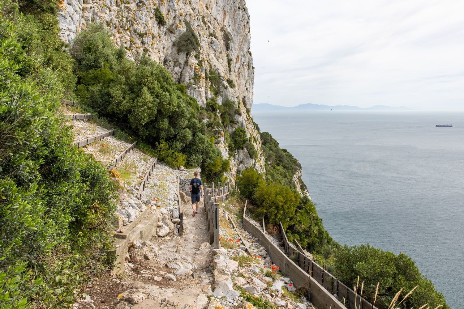 Descent on the Trail