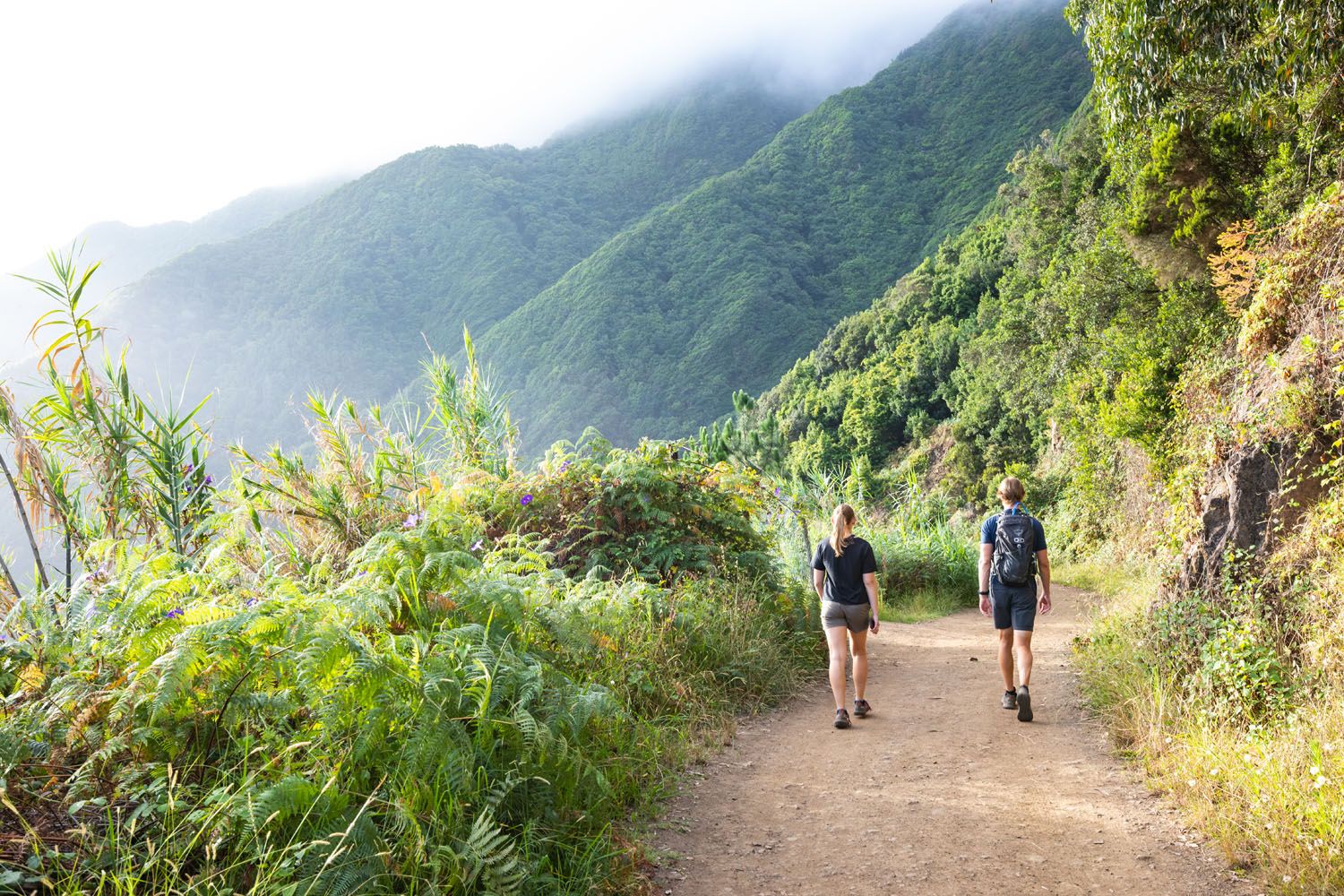 Hikes in Madeira