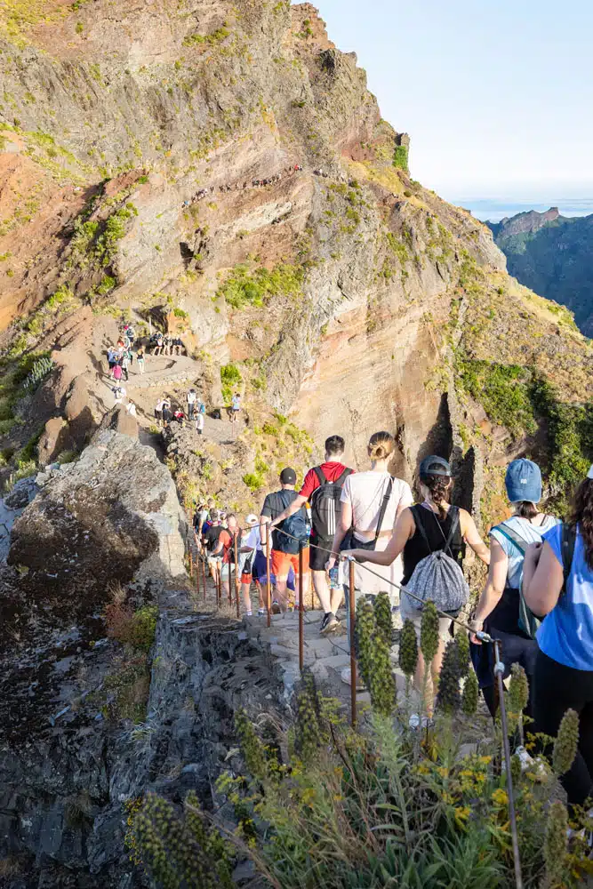 Madeira in July