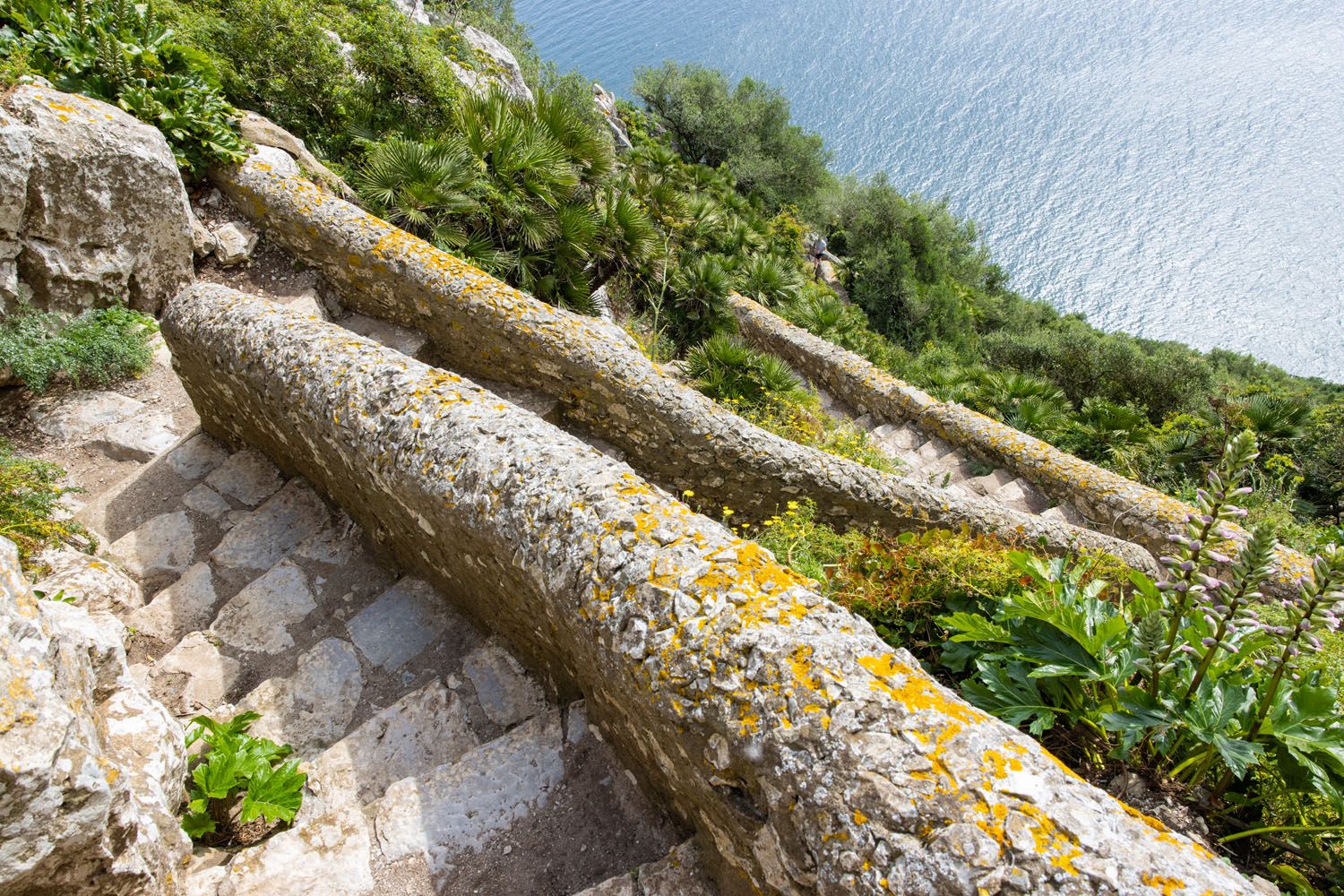 Mediterranean Steps | How to visit the Rock of Gibraltar