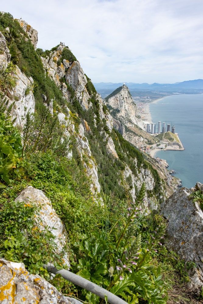 Mediterranean Steps View