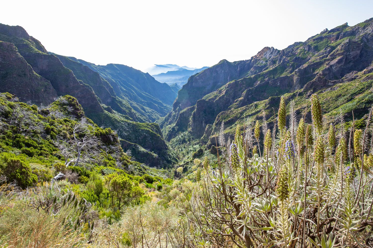 Trail View