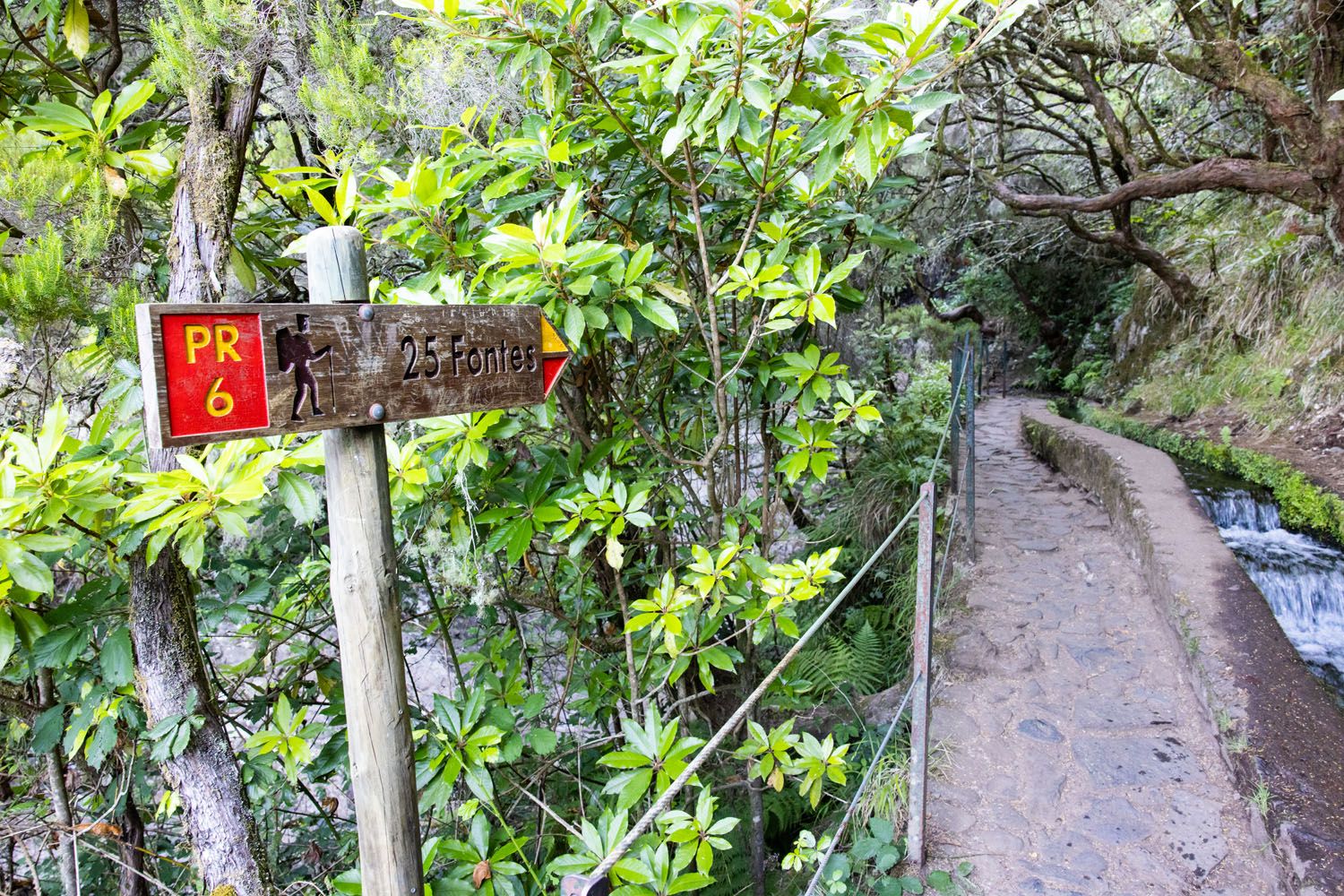 25 Fontes Hike Madeira