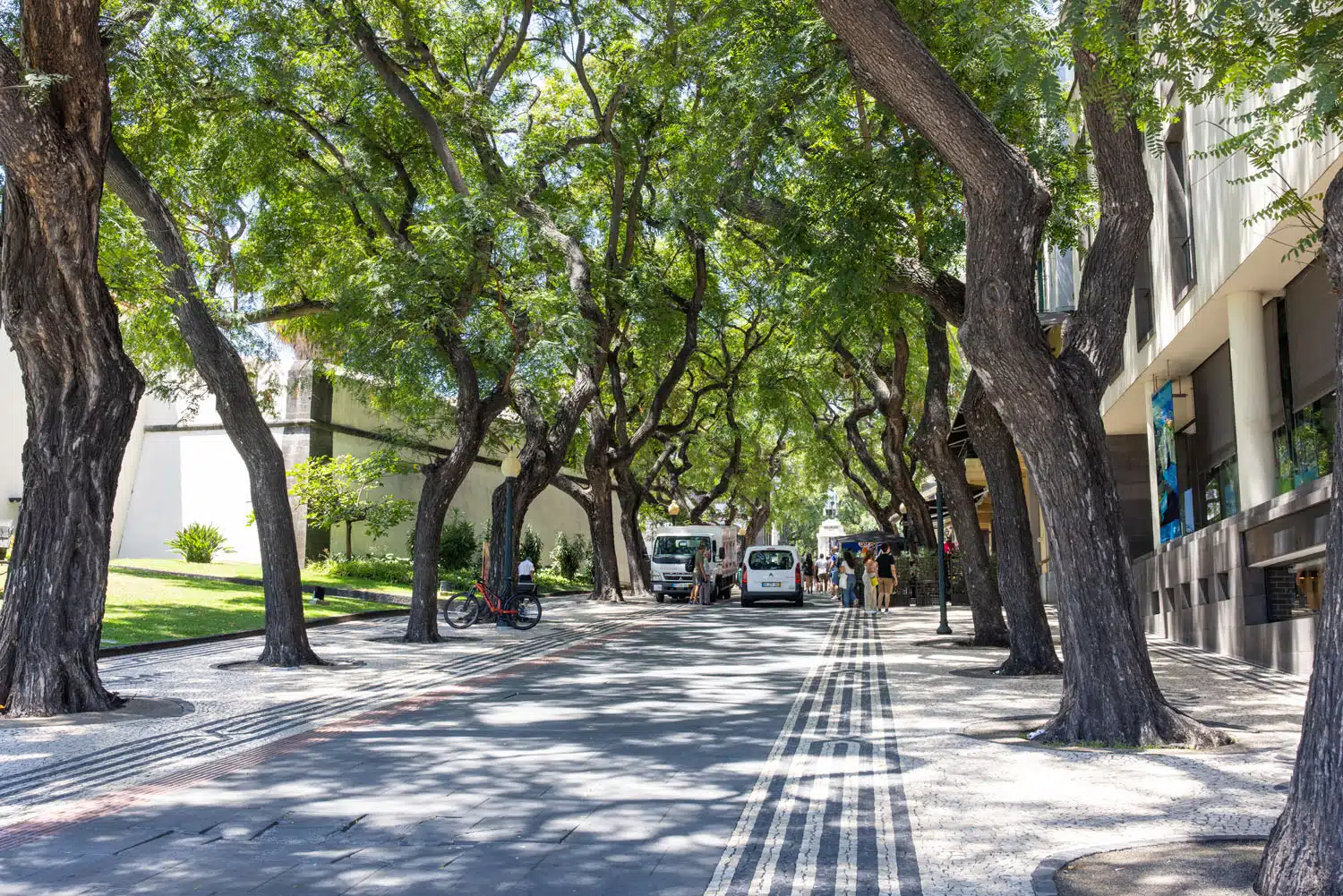 Avenida Zarco Funchal