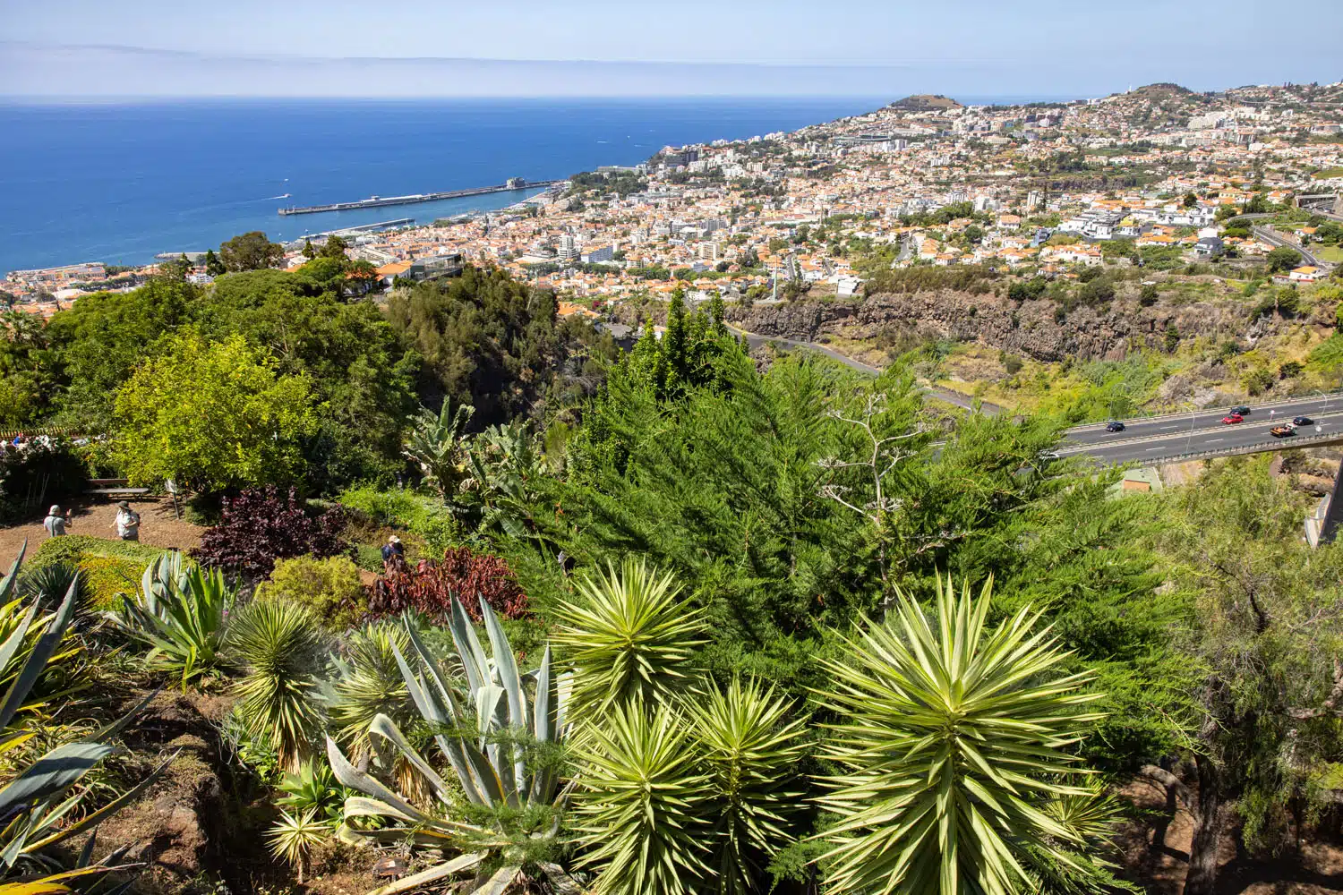 Botanical Garden View of Funchal