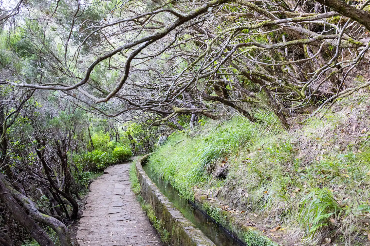 Levada das 25 Fontes Hike