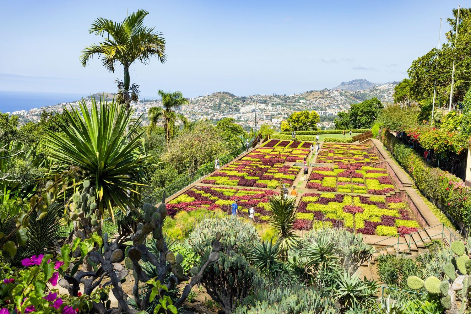 Madeira Botanical Garden | Best Things to Do in Funchal