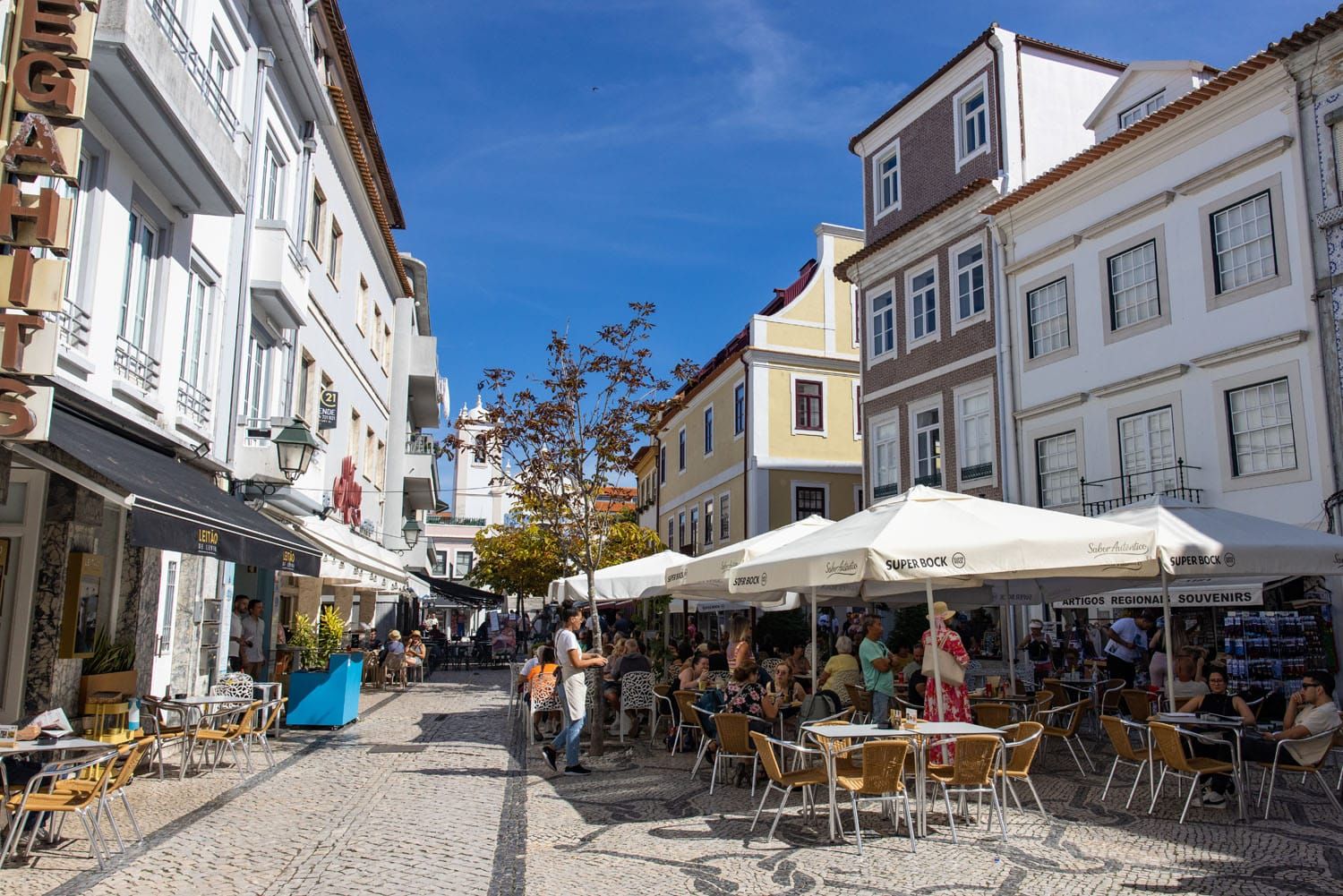 Aveiro Pedestrian Street